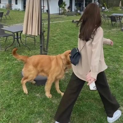 古宝争夺战海报
